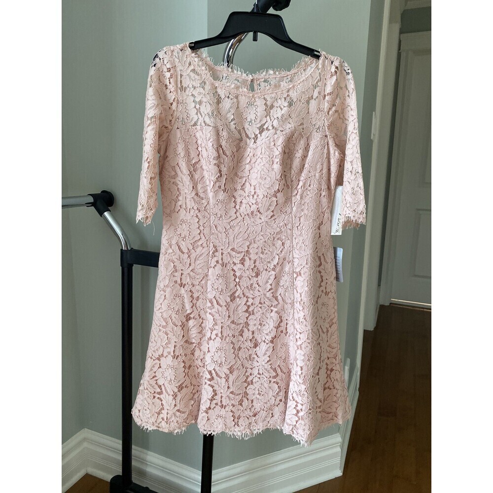 Eliza J Women' Lace Fit & Flare Cocktail Dress Pink Petite Size 10P $210 fits P6